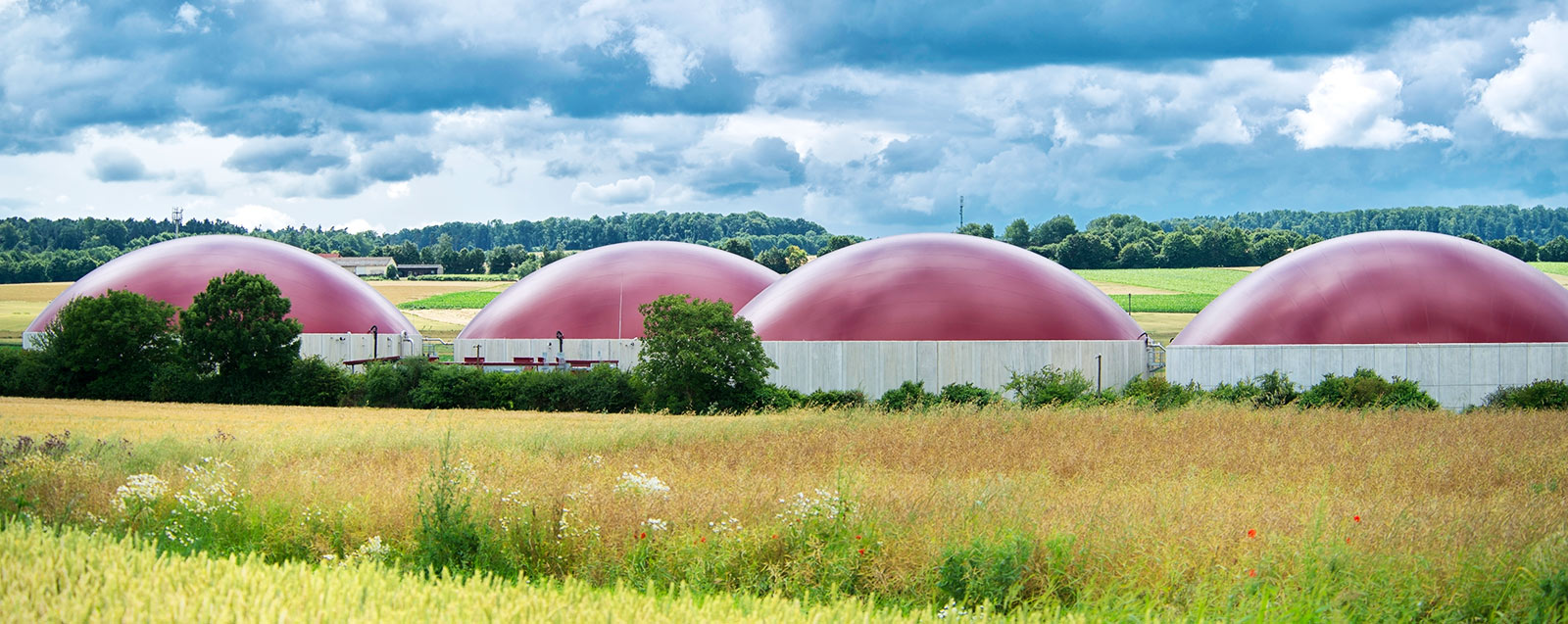 content-referenzen-details-neswiss-header-desktop